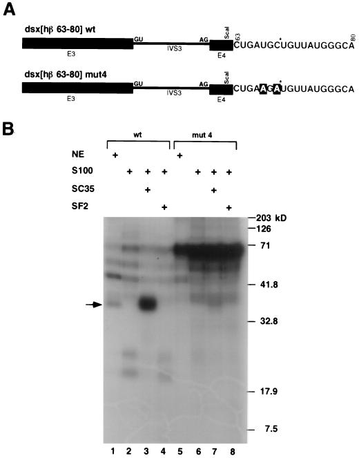 FIG. 4