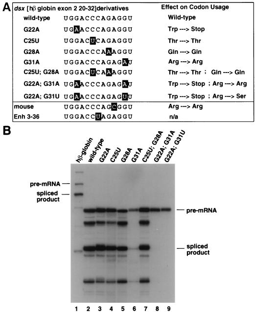 FIG. 5