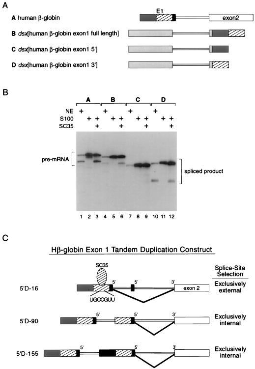 FIG. 6