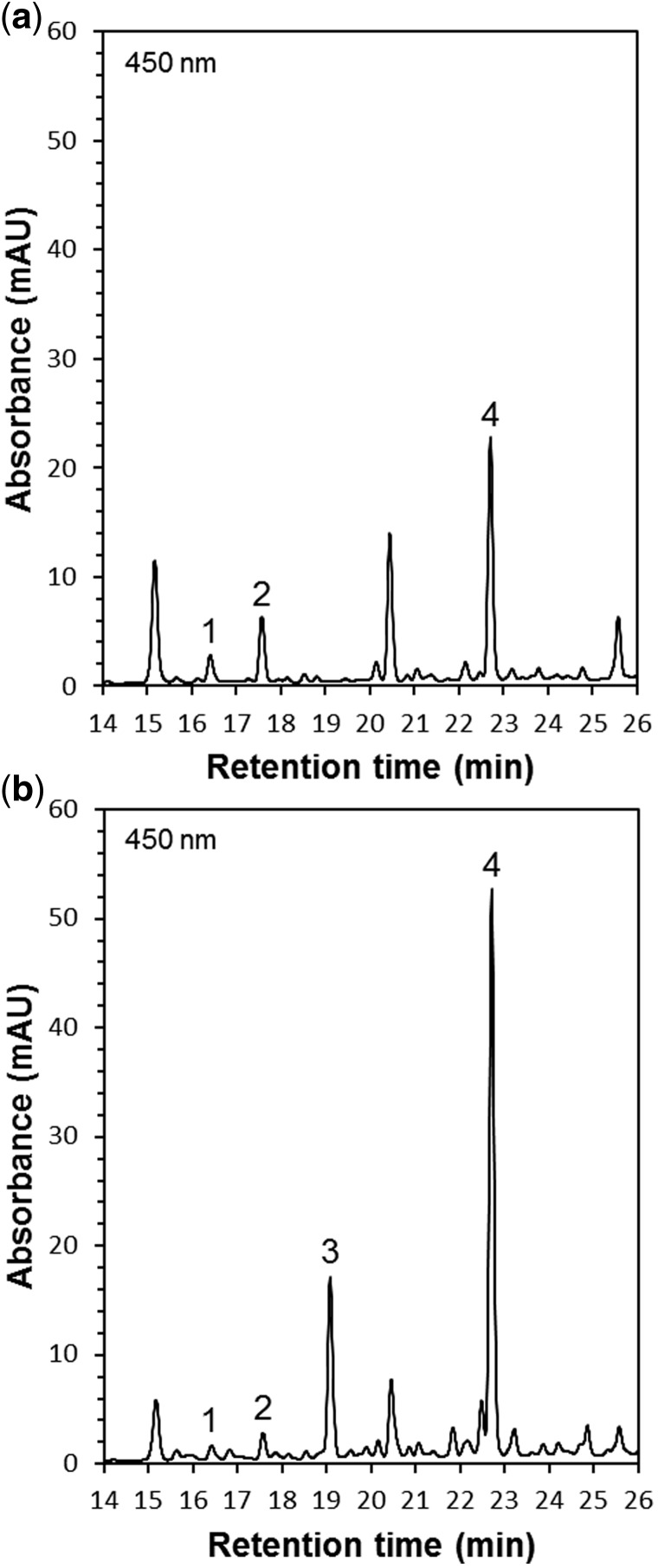 Fig. 6