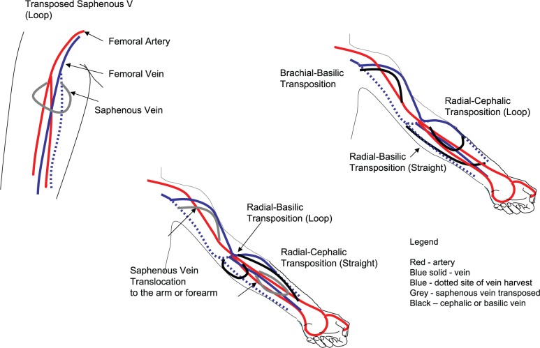 Figure 2.