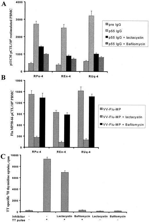 FIG. 7.