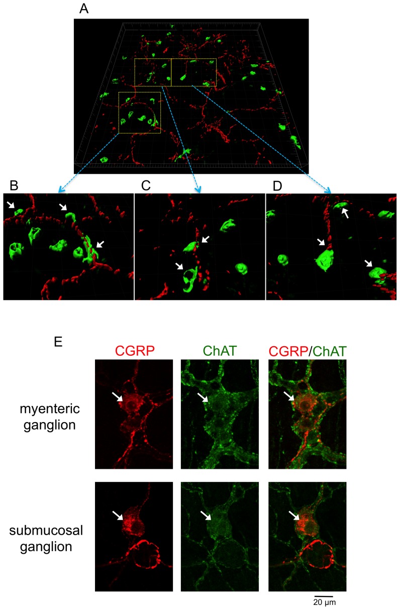 Figure 10