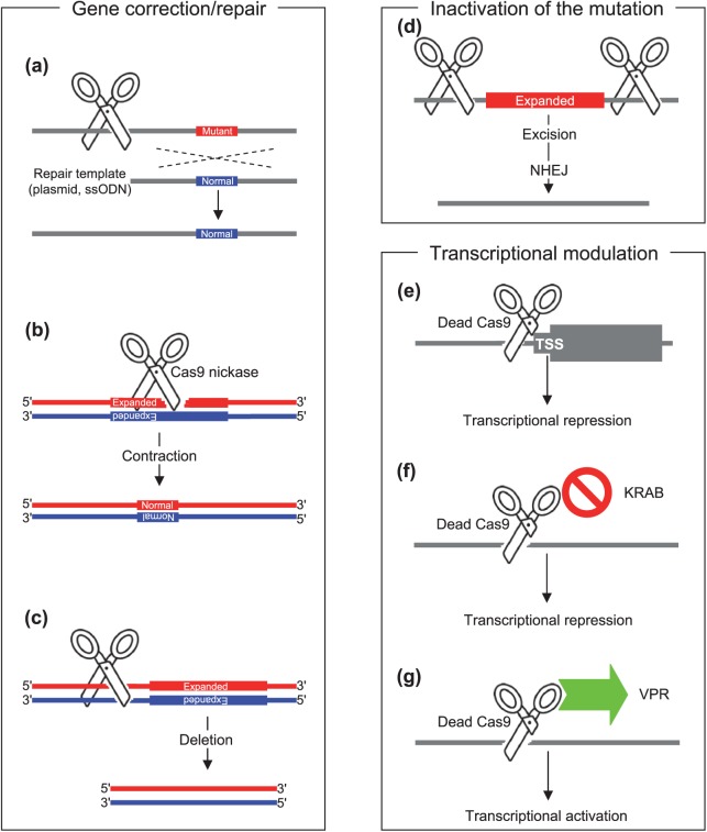 Figure 2.