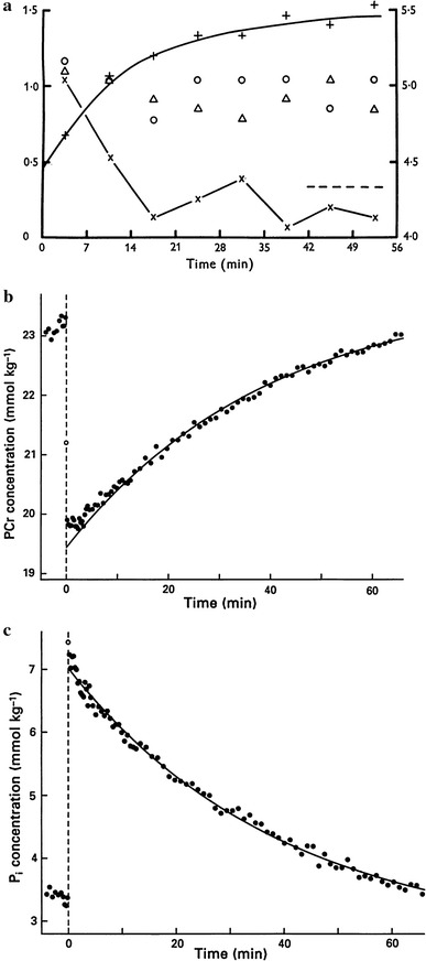 Fig. 6