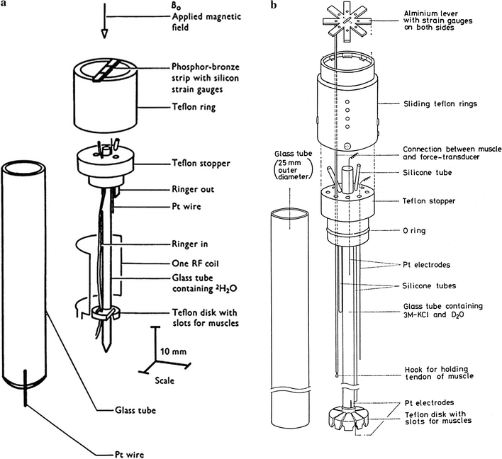 Fig. 5