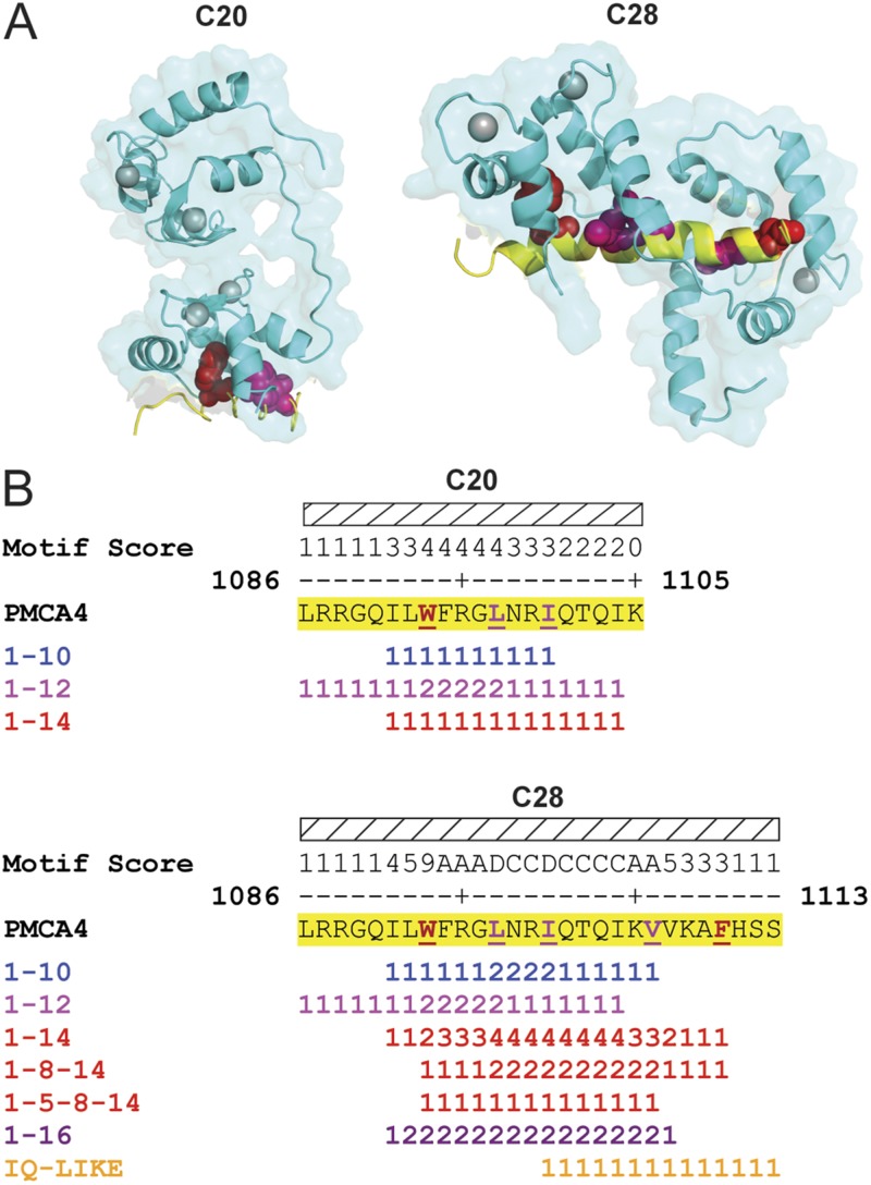 Figure 4.