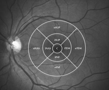 Fig. 1