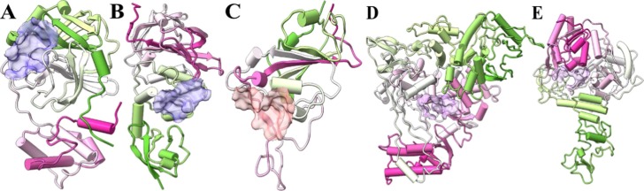 Fig. 1