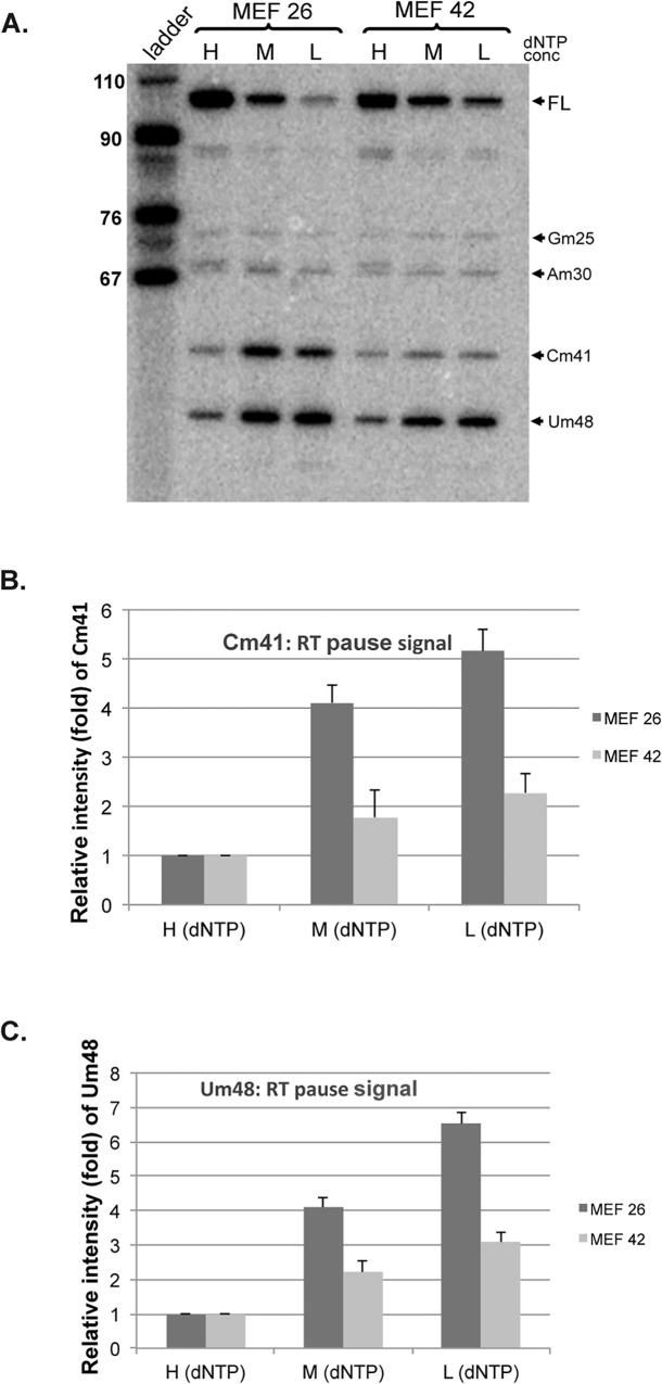 Fig 7