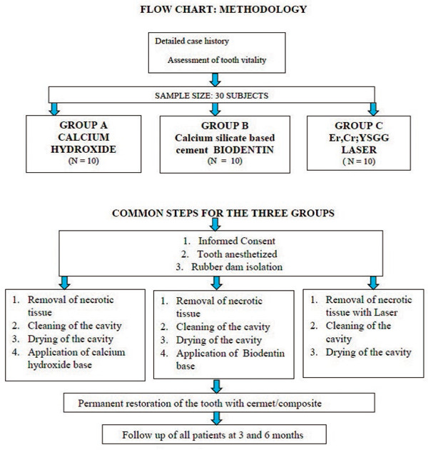 Fig. 1: