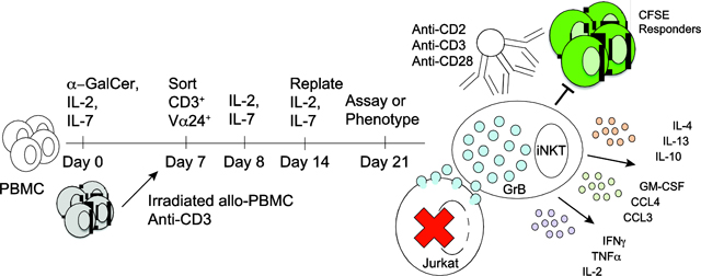 graphic file with name nihms-1569140-f0008.jpg