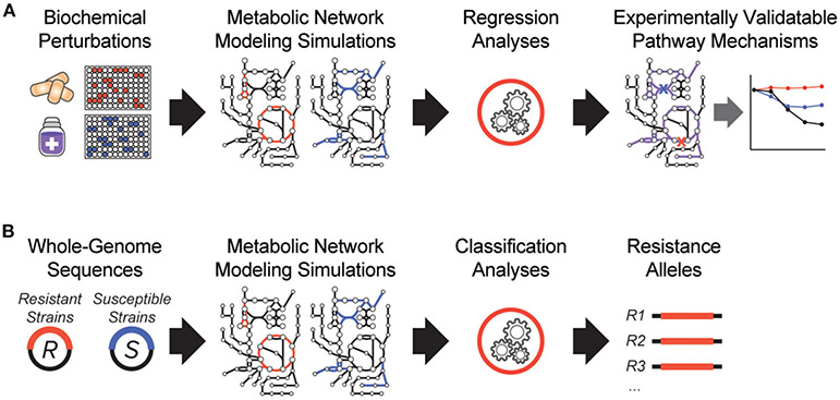 FIGURE 1 ∣