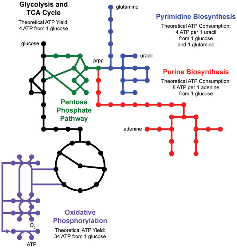 FIGURE 2 ∣