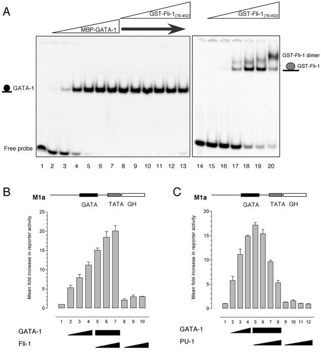 FIG. 4.