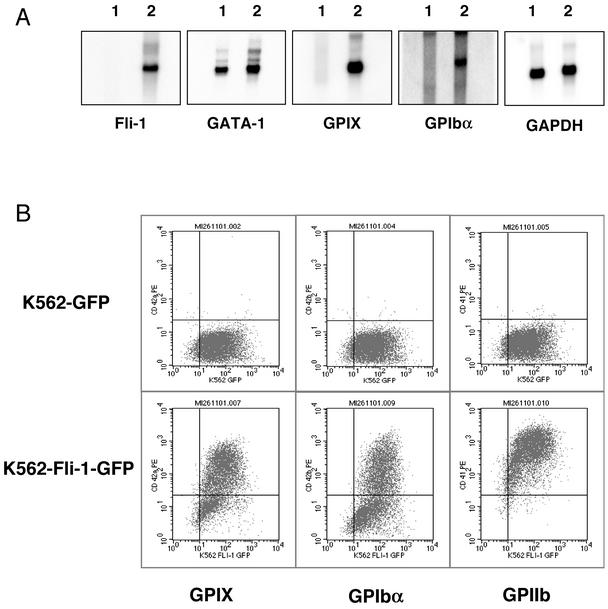 FIG. 7.