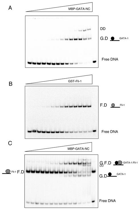 FIG. 8.