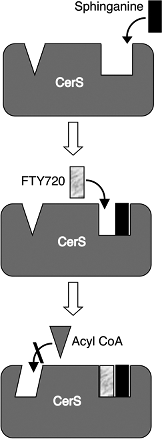 FIGURE 9.