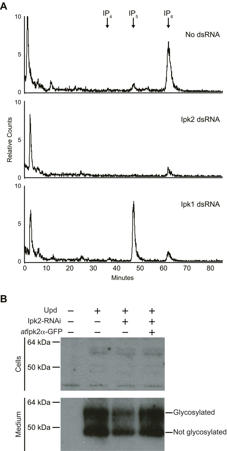 Fig. S4.