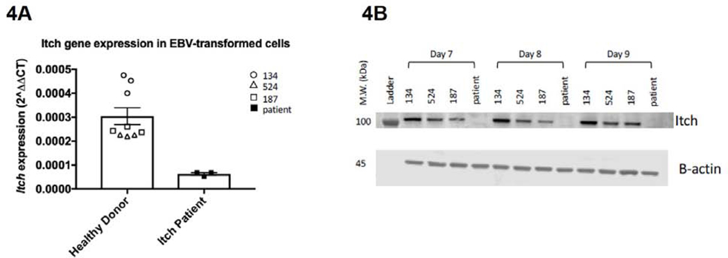 Figure 4: