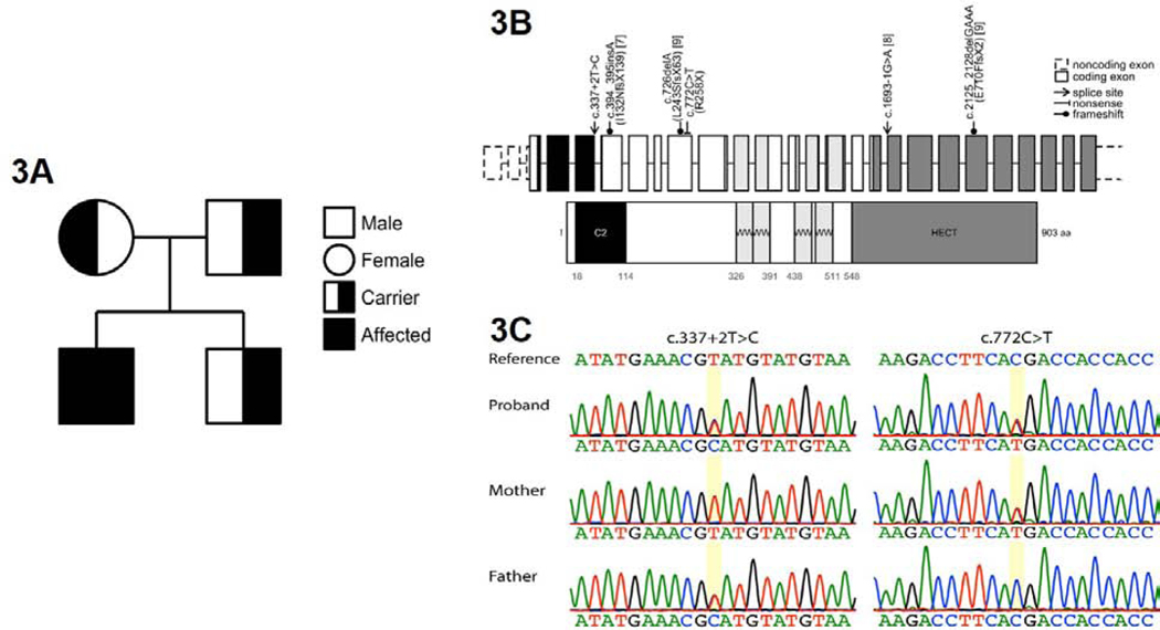 Figure 3: