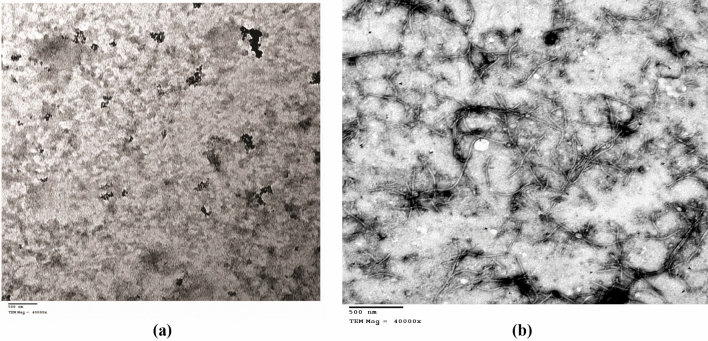 Fig. 5