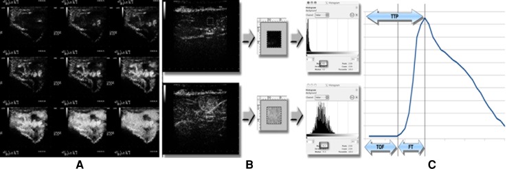 Fig. 1