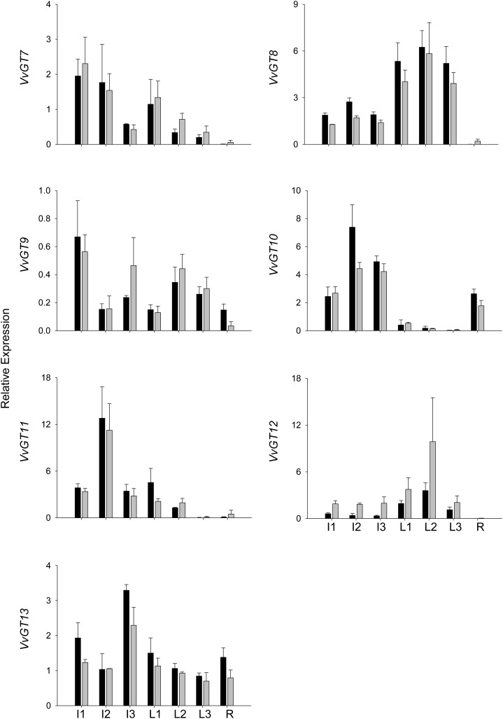 Figure 3.