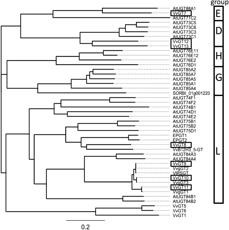 Figure 2.