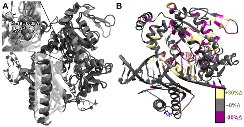 Figure 11.