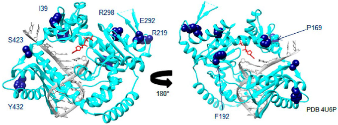 Figure 1.