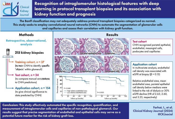 Graphical Abstract