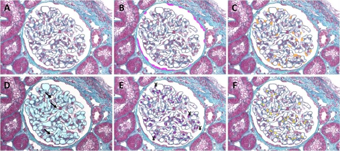 Figure 2: