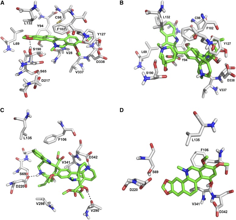 Figure 11.