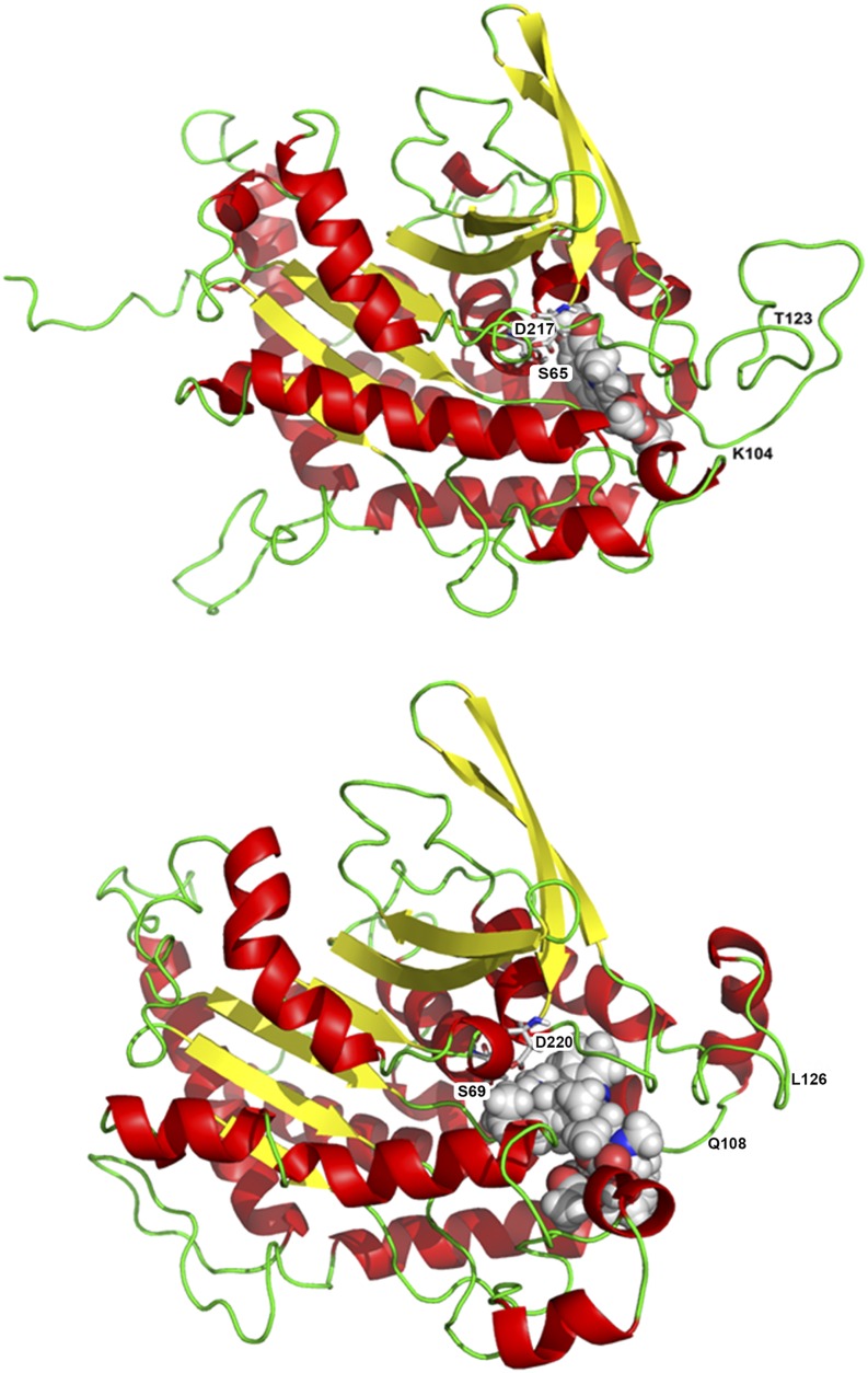 Figure 10.