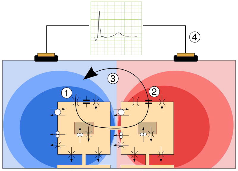 Figure14_5