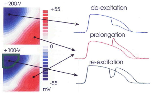 Figure14_9