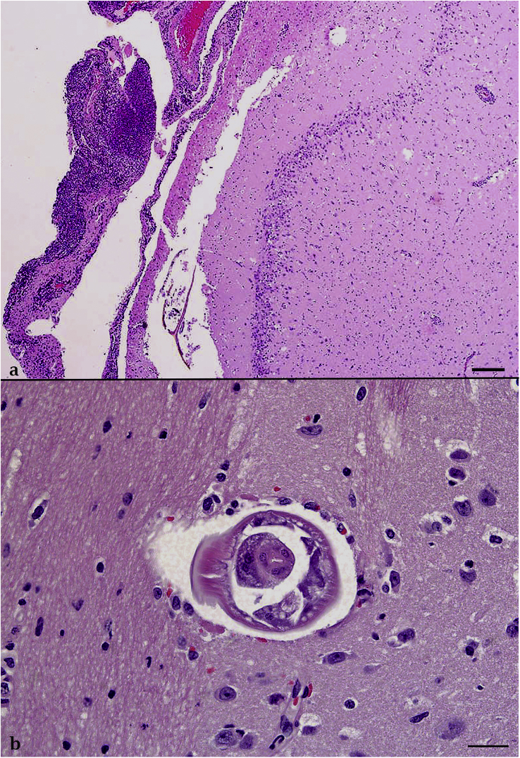 Fig. 2