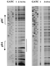 FIG. 5