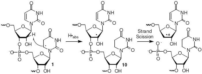 Scheme 2