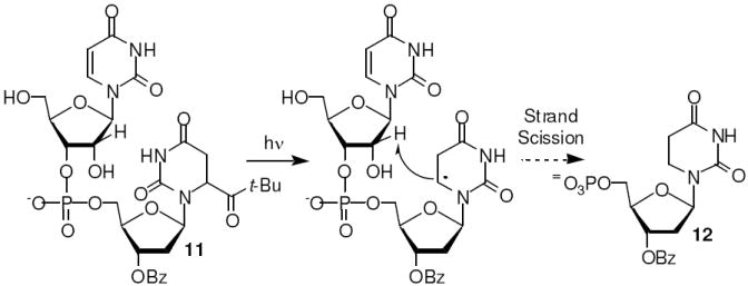 Scheme 3