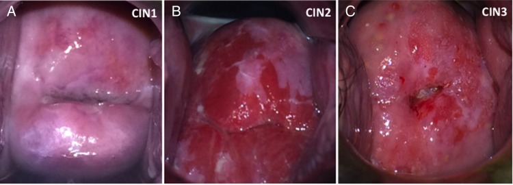 Figure 1