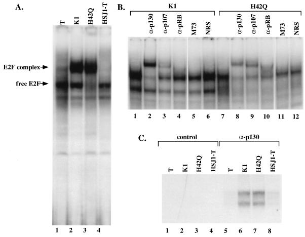 FIG. 6