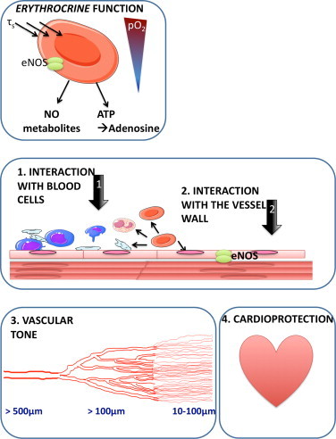 Fig. 4