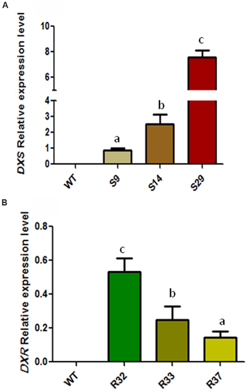 FIGURE 2