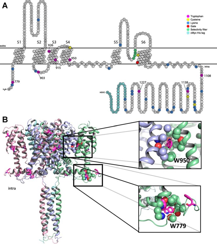 FIGURE 3.