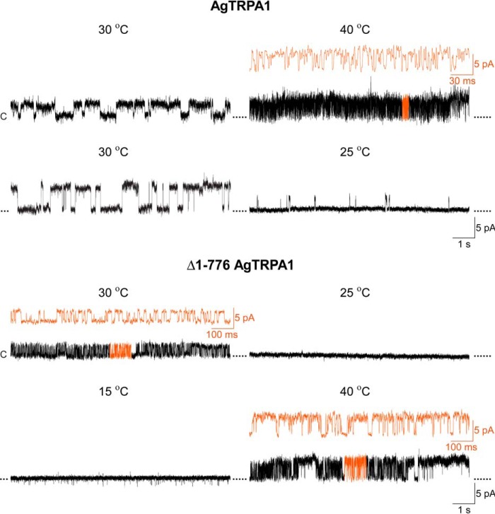 FIGURE 10.