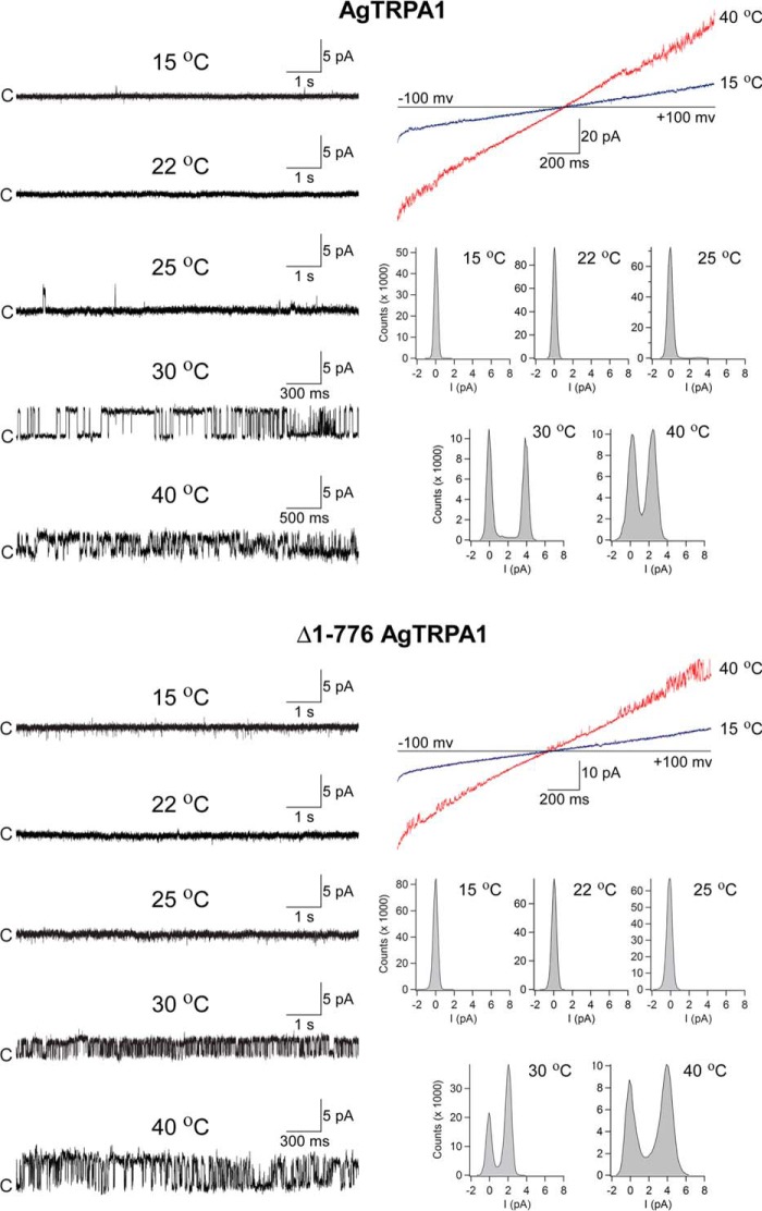 FIGURE 9.