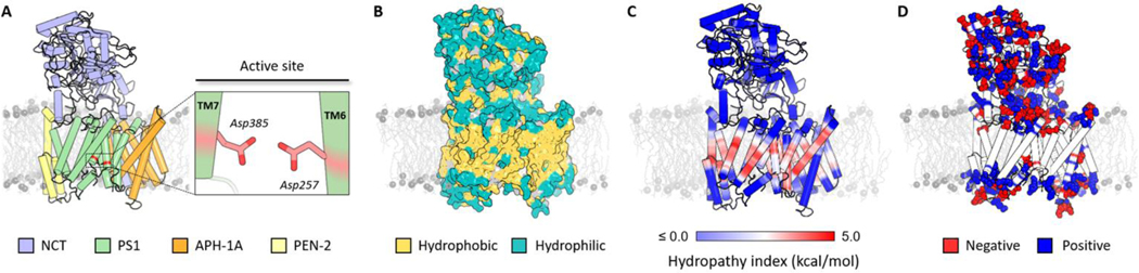 Figure 1.