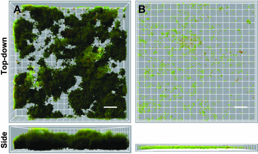 FIG. 7.